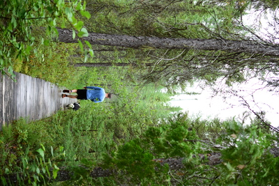 Ontario Parks Pass